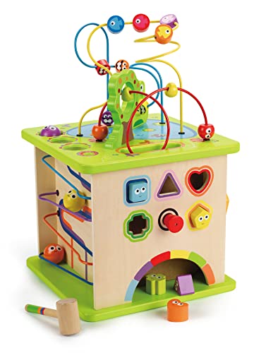 Hape Cubo Multiattività, Cubi Legno Bambini, Gioco Vivace e Colorato con Cinque Facce Piene di Attività