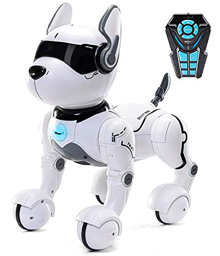 Cane Robot telecomandato