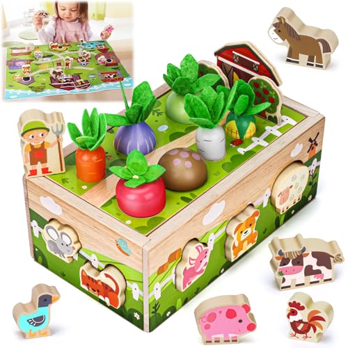 Giochi Montessori Bambini 1 Anno: Regalo Bambino 1-2 Anno | Giocattoli Bambino 1-3 Anno, Educativi...